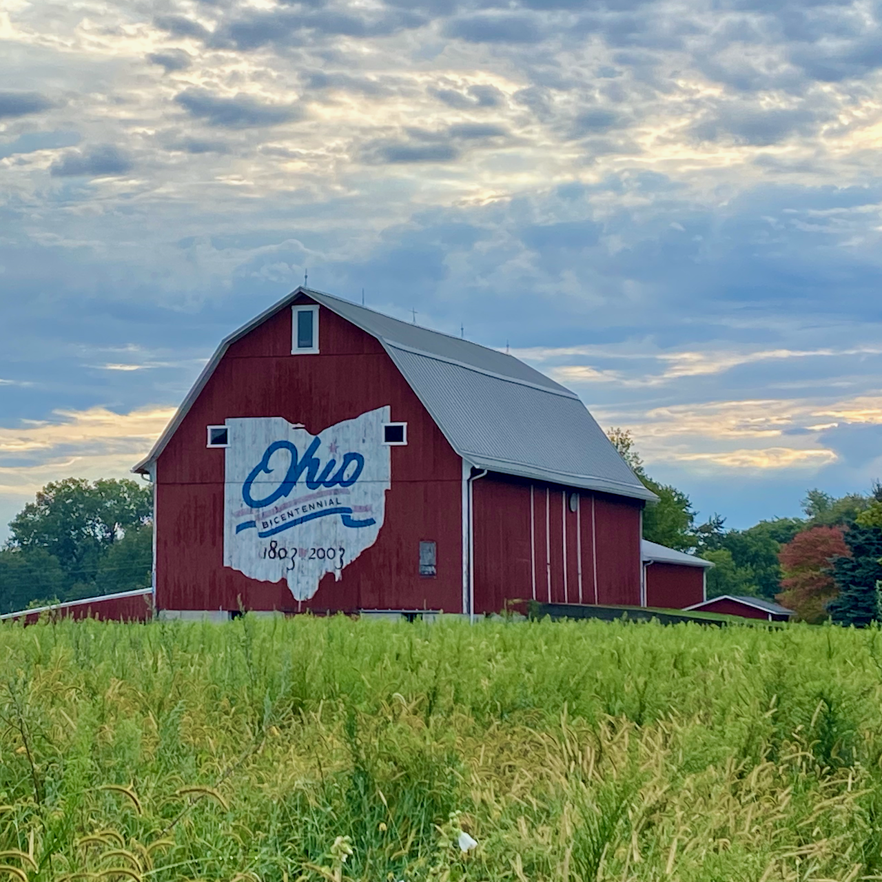 Erie County – August 28, 2024